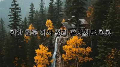 천안 원룸 이사 정리, 혼자서도 척척!