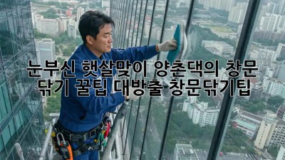 ✨눈부신 햇살맞이🌞 양촌댁의 창문 닦기 꿀팁 대방출! #창문닦기팁